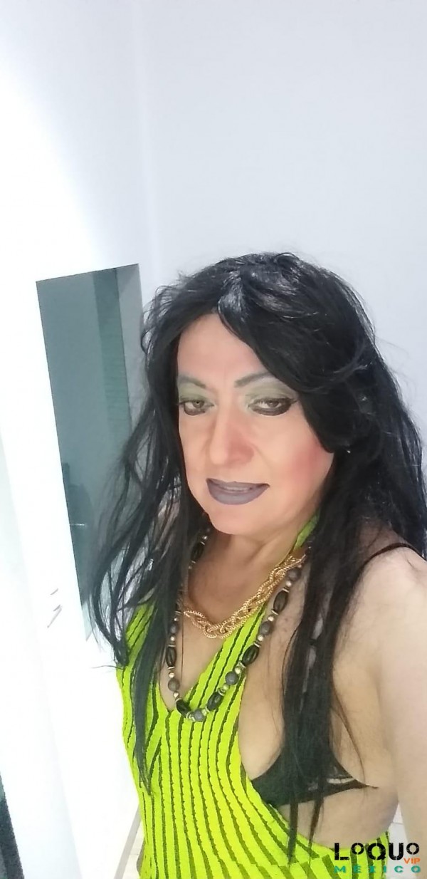 Travestis México: si deseas conocerme estoy disponible
