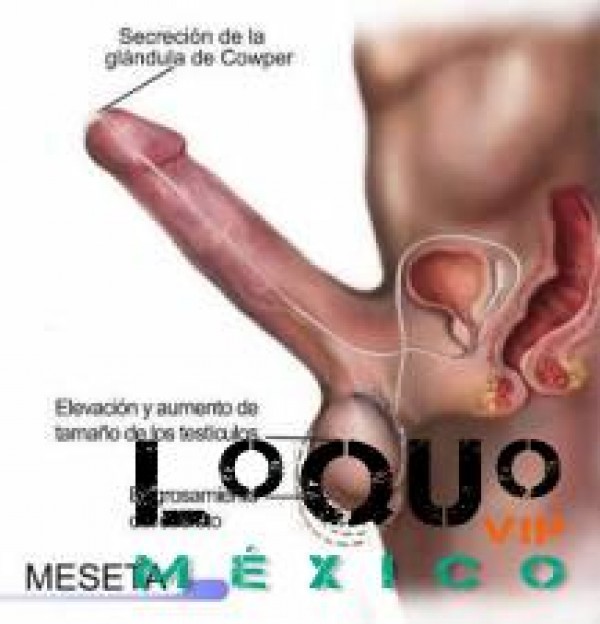 Masajes eróticos Jalisco: trato  independiente   masaje prostatico   de exelente placer
