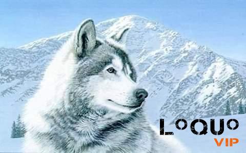 Contactos Aguascalientes: Sexo discreto y sin líos para mujeres