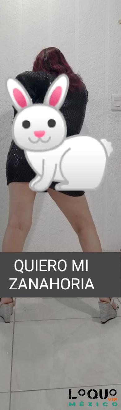 Putas Guanajuato: MEDIAHORA500,1HR700,1HR Y MEDIA1000,4HORASX2000RELACIONESILIMITADAS