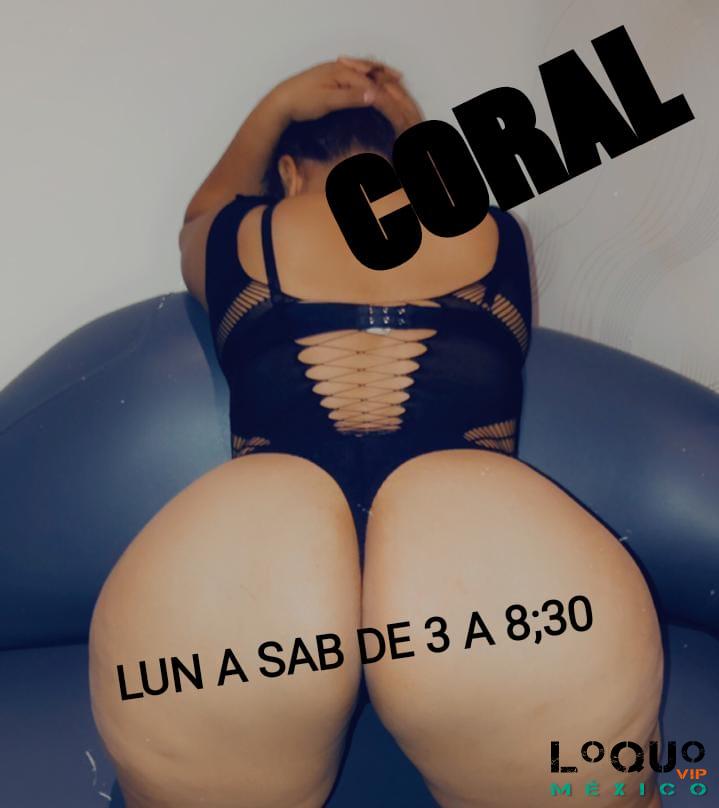 Putas Jalisco: TERMINA EN MIS NALGOTAS