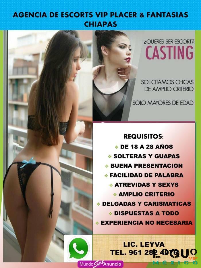 Agencias Escorts Jalisco: AGENCIA VIP SOLICITA CHICAS GUAPAS PARA ESCORT EN GDL