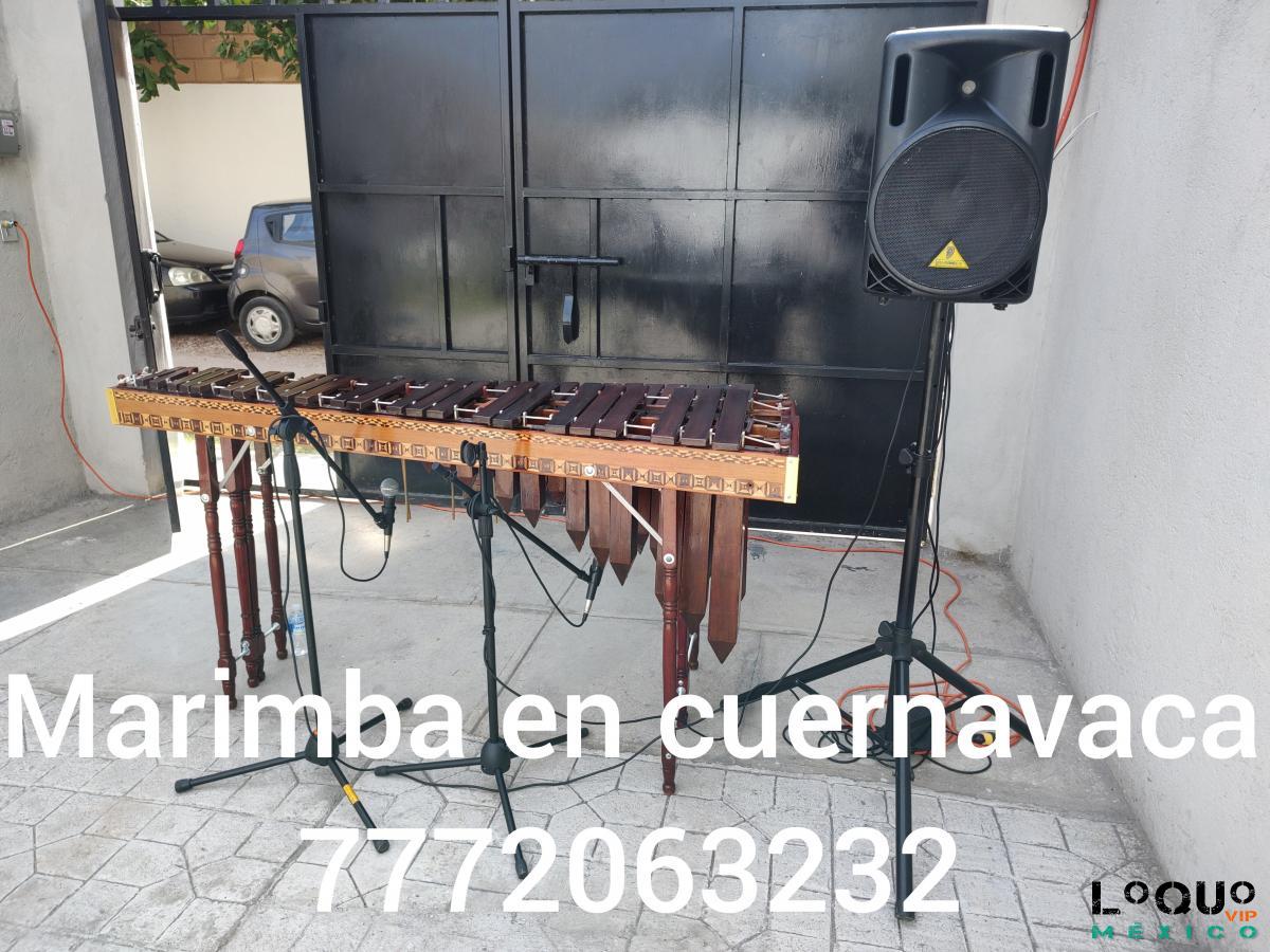 Otros Morelos: Marimba en cuernavaca 7772063232