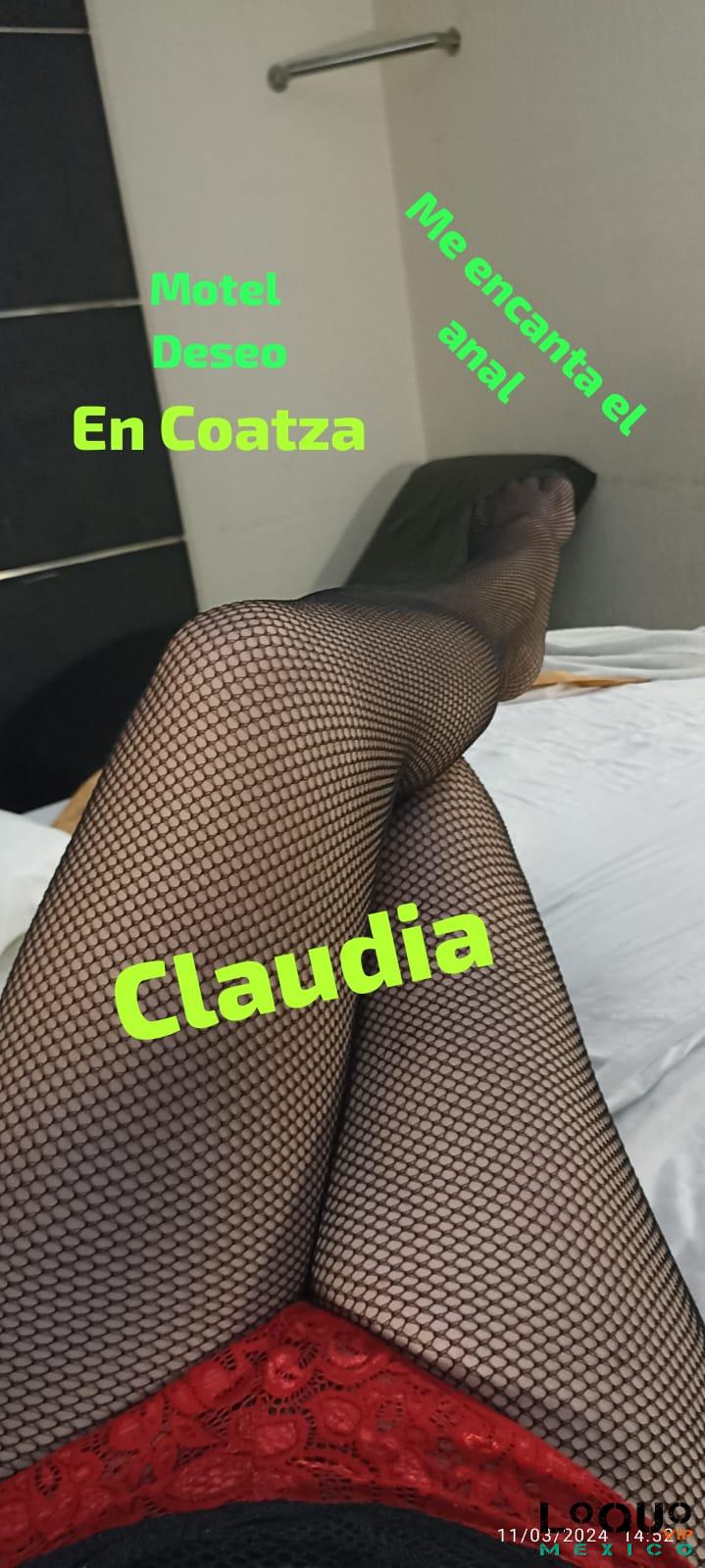 Putas Veracruz: Mamoterapias disponibles solo con Claudia madurita sexi y cachonda