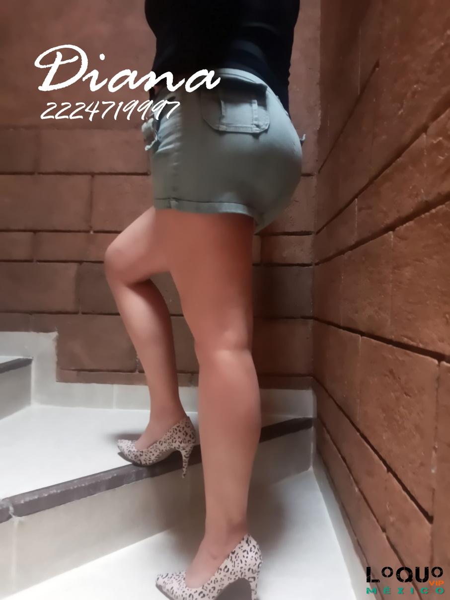 Putas Puebla: Soy bien putita y cachonda como te gusta