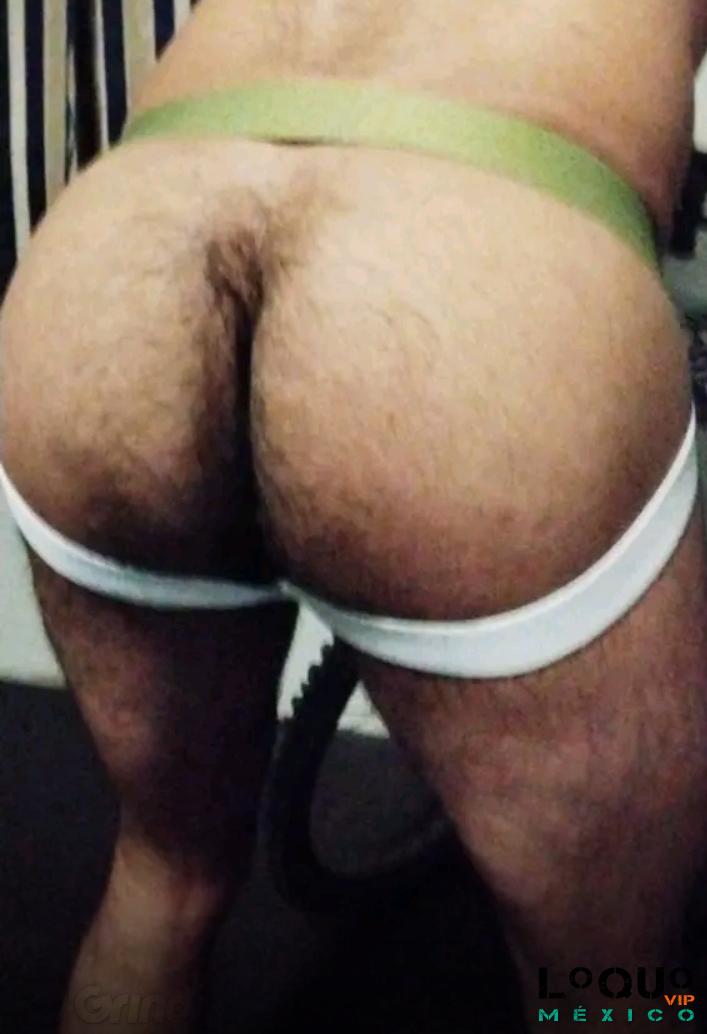 Escorts Gay México: Pasivo varonil Gordibueno aguantador nalgon
