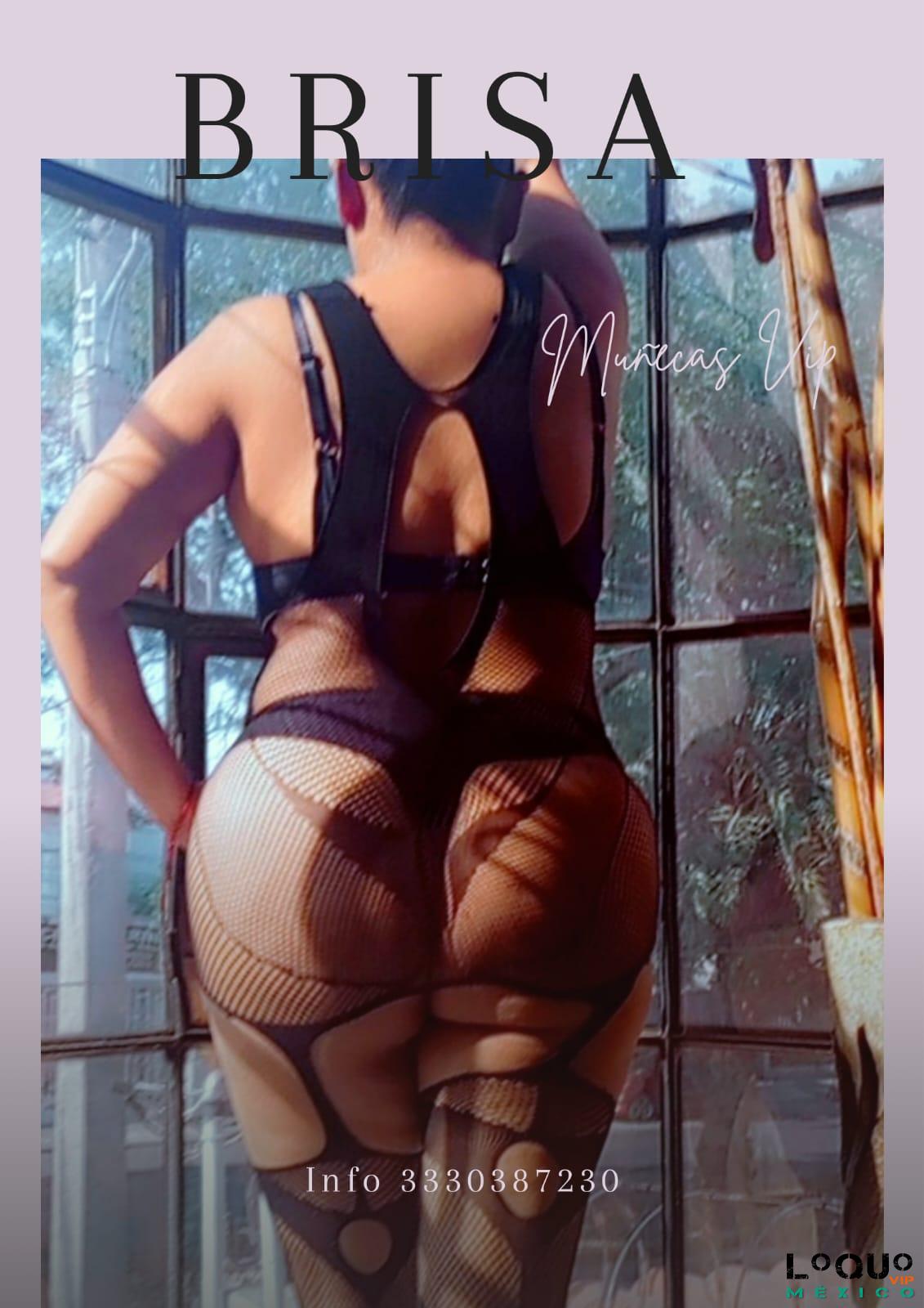 Putas Jalisco: BRISA DE PLACER VEN A MOJARTE CONMIGO Y MIS RICOS ORGASMOS