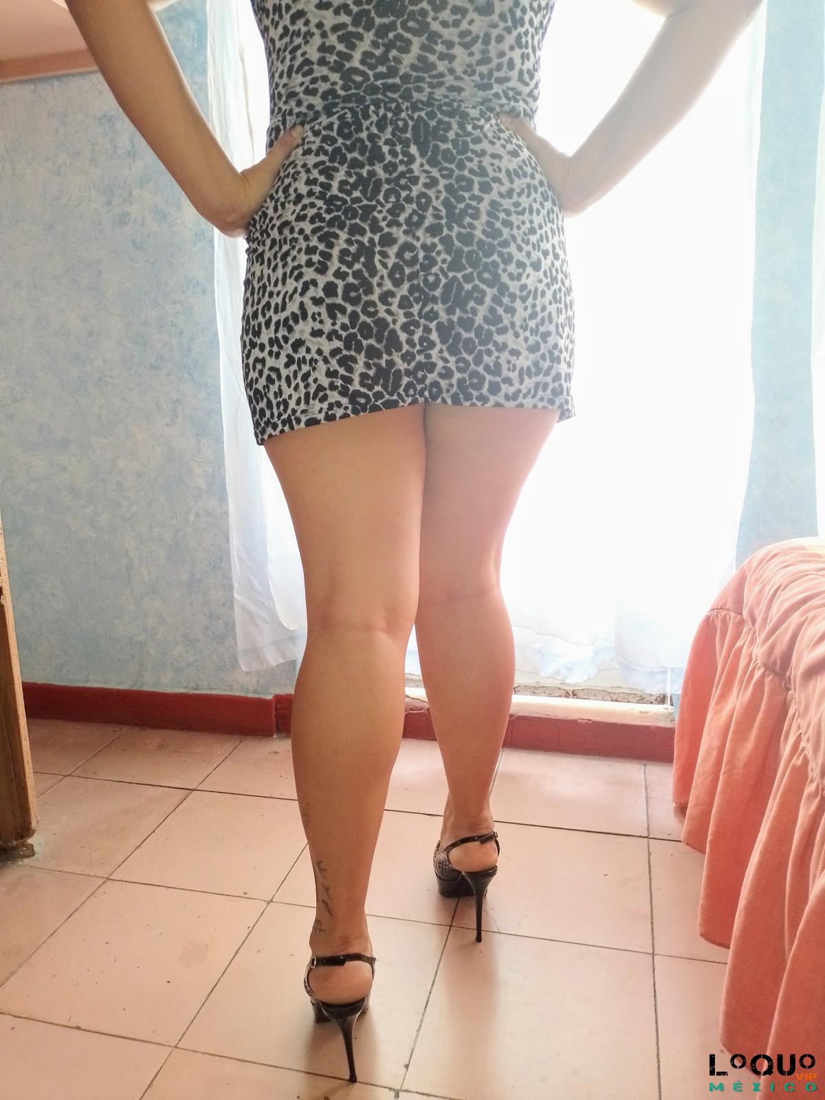 NUEVA COMO ESCORT, AMA DE CASA, GORDIBUENA... - 7775686963 | LoQUoVIP