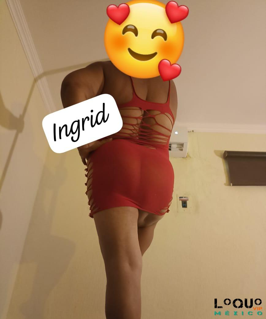 Sexo rico e ilimitado con dos maduritas aquí en Coatzacoalcos - 9214141133  | LoQUoVIP