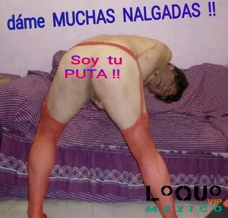 Escorts Gay Guanajuato: Haré qué te vengas en mi boca... Soy un maduro muy caliente