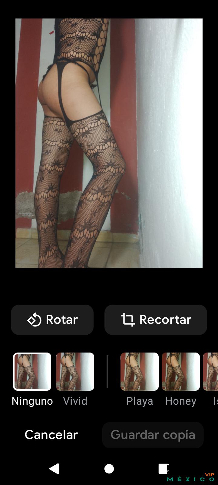 Travestis Guanajuato: Traigo mi culito bien caliente quien me coge amor