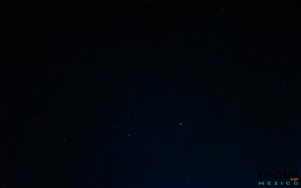 Gigolós Tabasco: Para mujeres interesadas