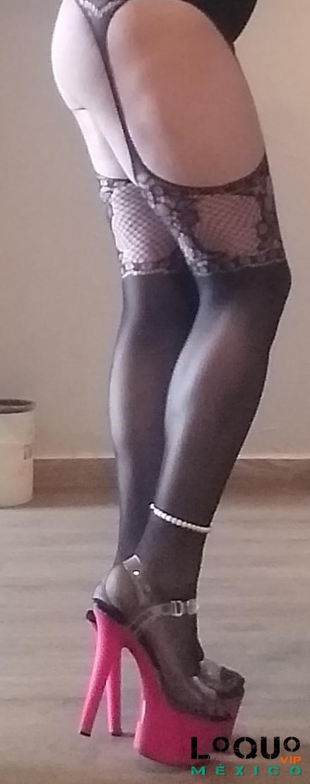 Putas México: Siempre disponible  ser tu perrita amame  mucho