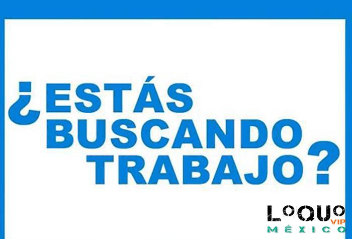 Otros Jalisco: SOLICITO  CHICA MAYOR DE EDAD !!