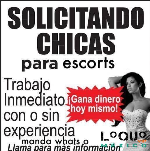 Otros Jalisco: SOLICITO  CHICA MAYOR DE EDAD !!
