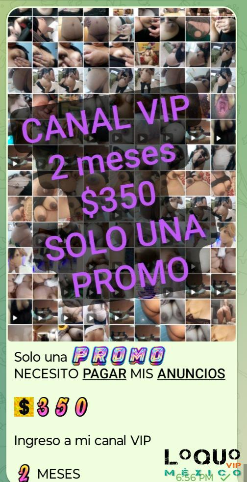 Servicios Virtuales Ciudad de México (CDMX): CAMI BELLA EMBARAZADA SERVICIO O VENTA DE PAKS, FOTOS VIDEOS SEXTING