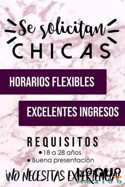 Otros Querétaro: Buscamos chicas para ser escort excelentes ganancias
