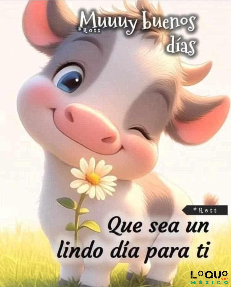 Masajes eróticos Jalisco: Masaje erótico con final para mujer madura