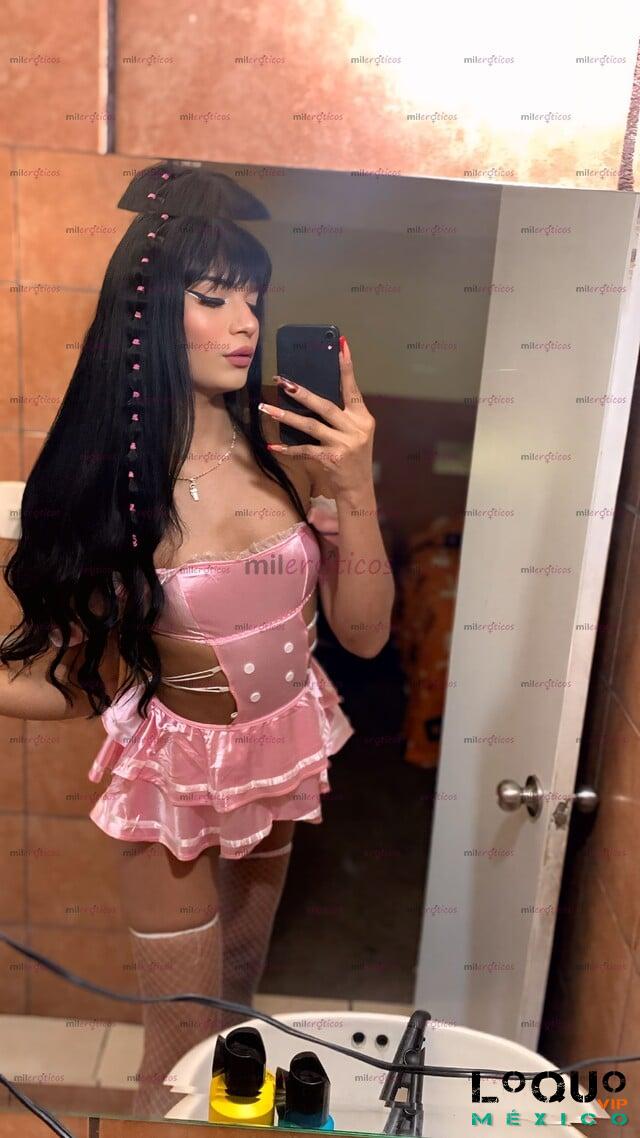 Travestis Chiapas: Trasvesti dulce camila recién llegada a tu ciudad