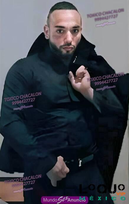Escorts Gay Aguascalientes: Super hombre verga gigante 2 10 altura verga de BURRO 27cm