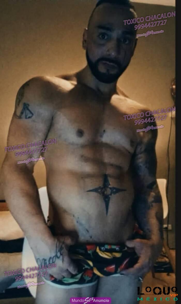Escorts Gay Aguascalientes: Super hombre verga gigante 2 10 altura verga de BURRO 27cm