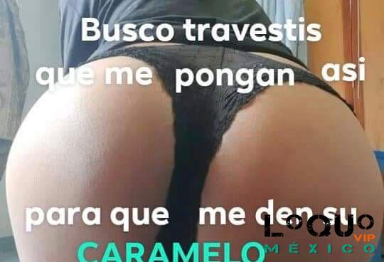 Travestis Ciudad de México (CDMX): Soy vestida y busco similares o travéstis