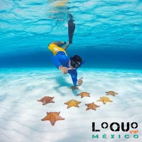 Gigolós Sinaloa: Servicio Exclusivo a Damas de Alto criterii