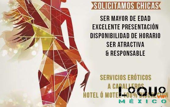 Putas Querétaro: EXCELENTE SUELDO, OCUPO CHICAS SIMPATICAS 4428152120