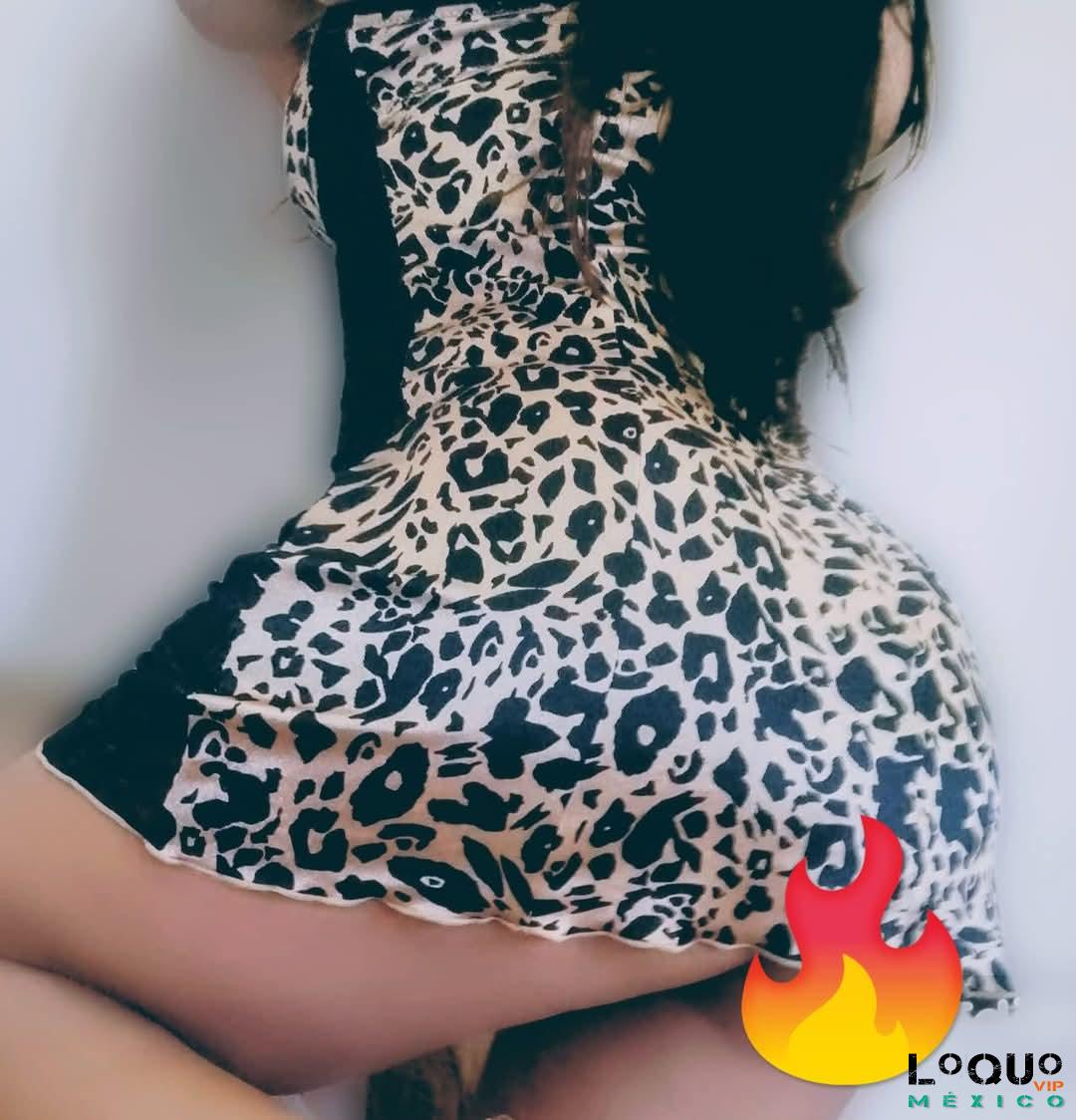 Putas Querétaro: Jarochita nueva en el ambiente