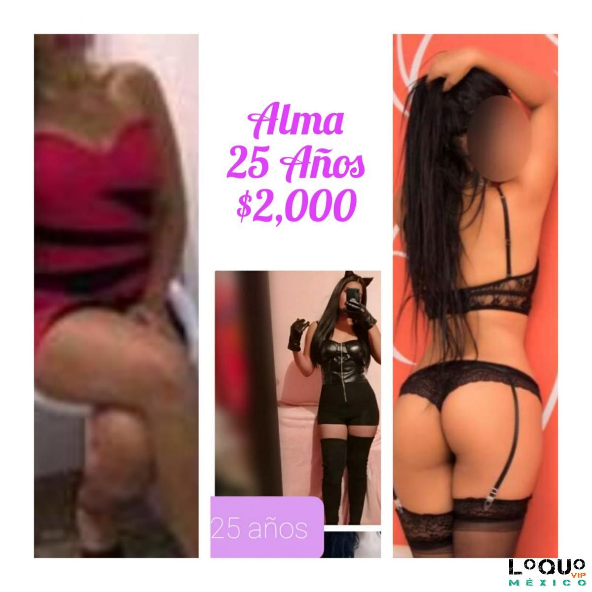 Agencias Escorts Ciudad de México (CDMX): ♥️¡Reserva Tu Cita, Hotel Capital 0, hOTEL VINTAGE, IBIZA....♥️