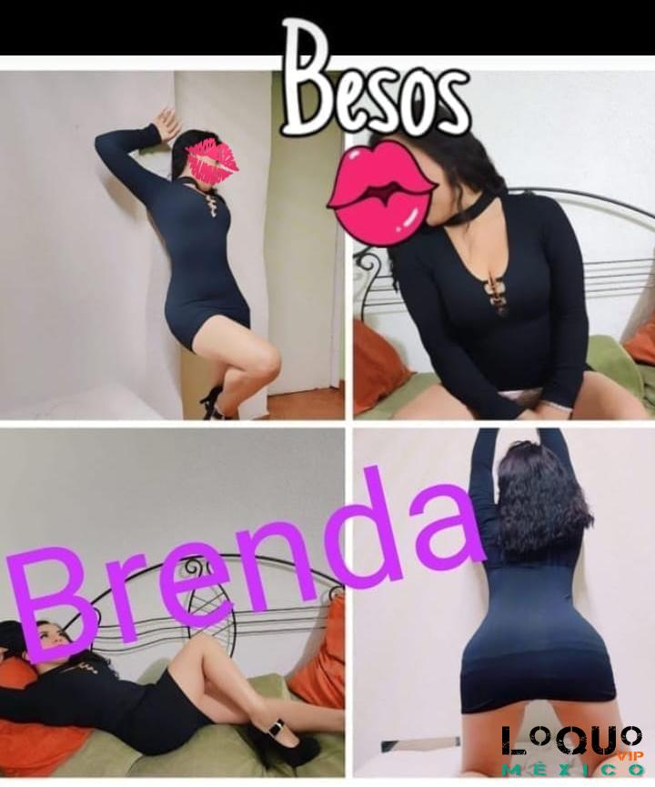 Putas México: ♥️Chicas +DIVERTIDAS♥️????, Hotel Castello, V. Boutique, Fiesta Inn,