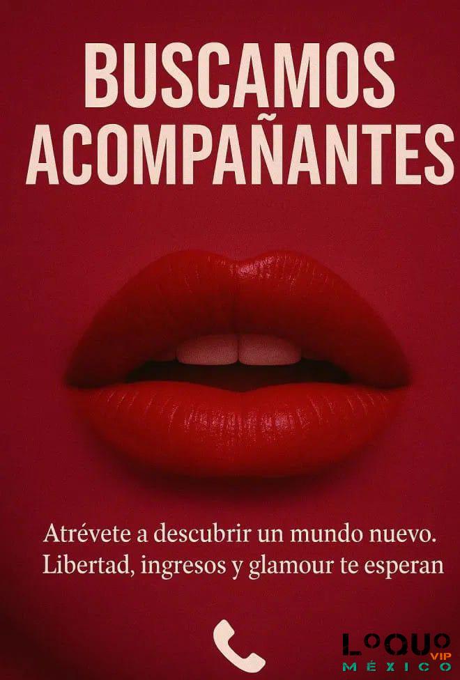 Putas Querétaro: CHICAS GUAPAS Y JOVENES ESTA ES SU OPORTUNIDAD