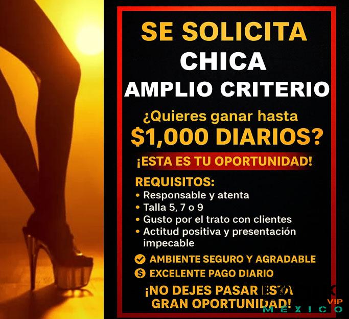 Putas Morelos: SOLICITO CHICAS CON EXCELENTE PRESENTACION Y LA MEJOR ACTITUD