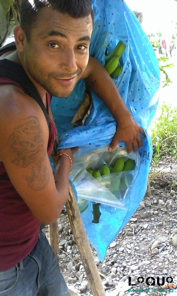 Gigolós Nuevo León: Solo nenas disponible catracho