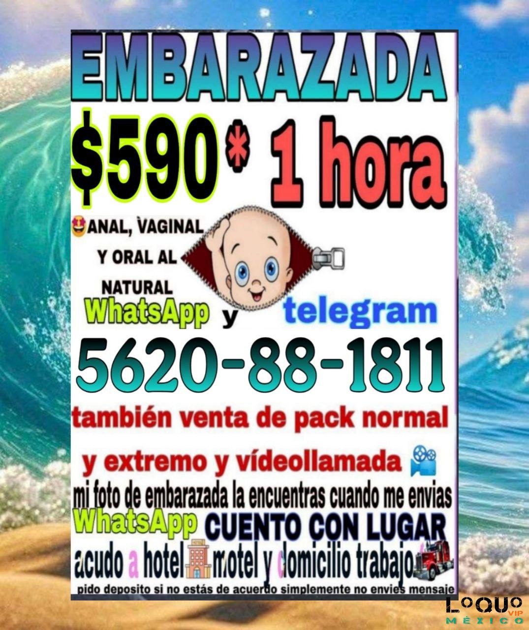 Putas Jalisco: Todo comienza con un rico masaje piel a piel, tú decides la terminación!  EmVa