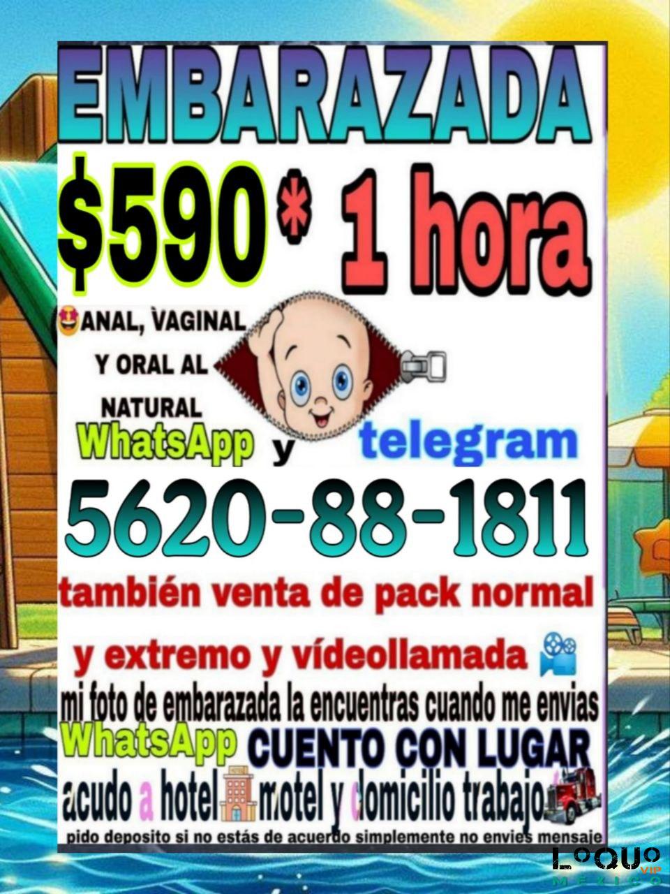 Putas Nayarit: conoceme !  Te va a encantar mucho.  EmVaraxxAda 59O POR I hora