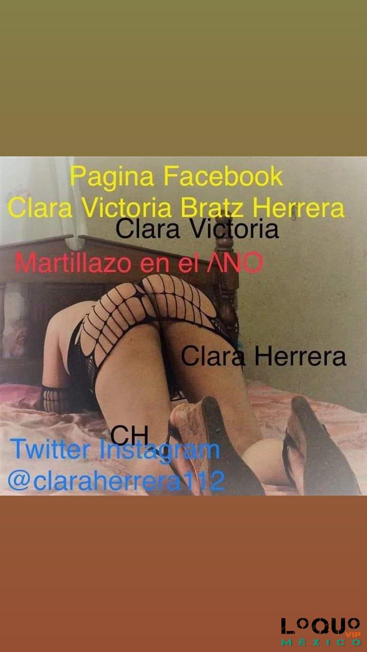 Putas Colima: Nena cariñosa de compañía